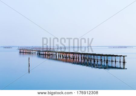Shellfish Farming From Po River Lagoon, Italy