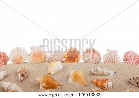 Seashells on beach isolated on a white backgroundwith a lot of copy-space