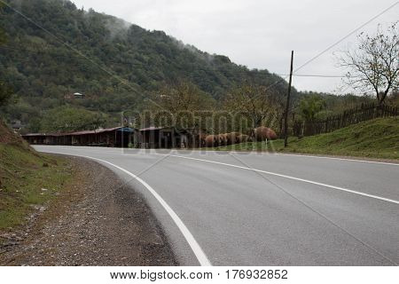 view Mountain of asphalt road with white stripes. picturesque road. Village landscape