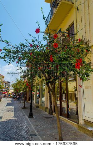 Chania, Greece - July 17, 2013: the Narrow old street with walking tourists