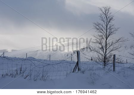 snowy mountains with dark afterstorm clouds in the sky