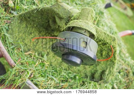 Spool trimmer with red fishing line and freshly cut grass