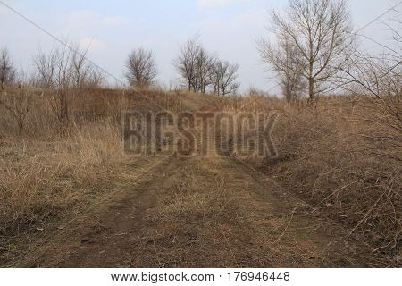 Road leaving into the distance in the steppe