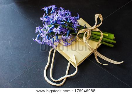 Spring Concept With Hyacinth
