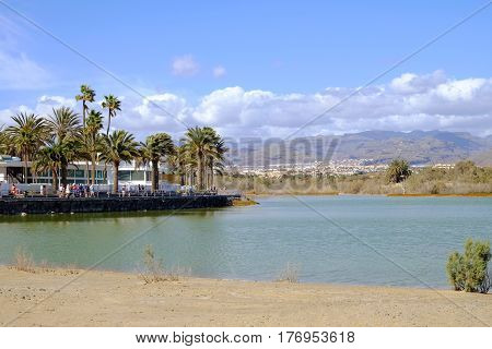Natural reserve La Charca and dunes of Maspalomas. The Canary Island Gran Canaria, Spain - 13.02.2017.