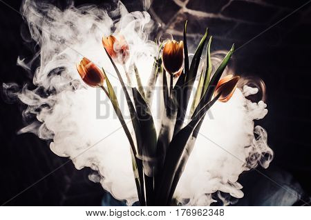 A Tulip In Smoke