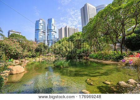 Beautiful view of pond at the lush Hong Kong Park surrounded by skyscrapers in the Central business district in Hong Kong island. Sunny day with blue sky.