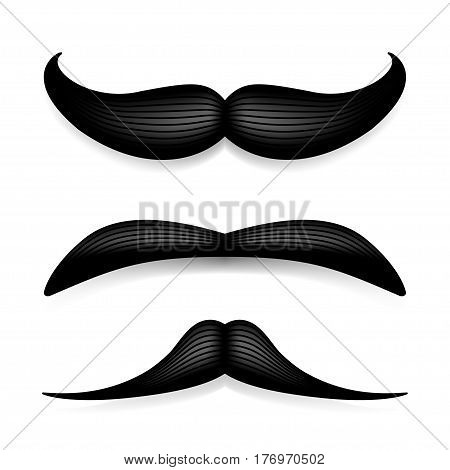 Mustache isolated on white. Black vector vintage moustache. Facial hair.Barber shop. Retro collection. Hipster beard.