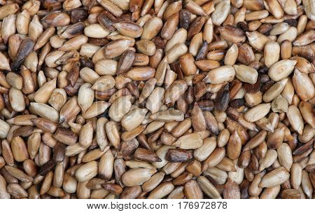 Overcooked peeled sunflower seeds background