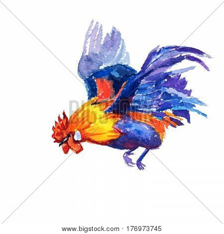 Hand Painted Watercolor Of Flying Bantam On White