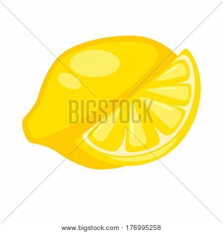 Lemon or citron whole and half isolated on white. Yellow large fragrant citrus fruit used for culinary and non-culinary purposes for juice. Realistic vector illustration of fruits rich in vitamin C