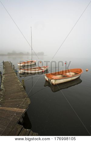 View On A Beautiful  Lake In Scandinavia In Denmark