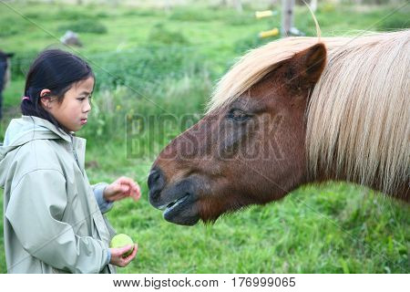 Riding Horses