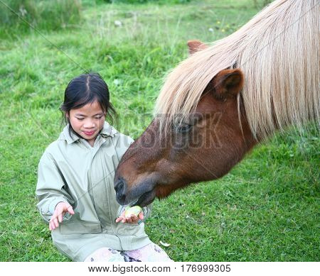 Riding Horses