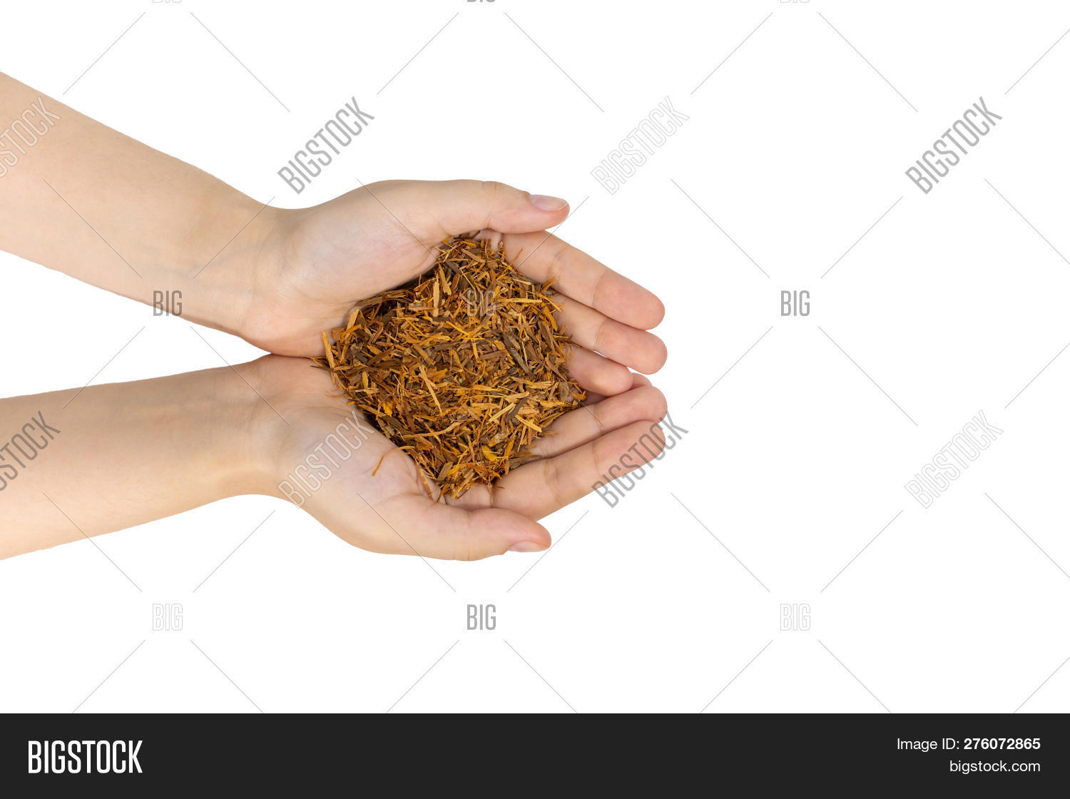 Catuaba Bark Tea Woman Image & Photo (Free Trial) Bigstock