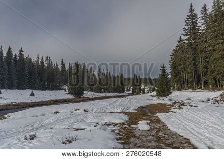 Roklansky Creek Near Modrava Village In National Park Sumava In Winter Day