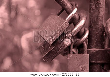 Llove Locks On The Bridge. Such Locks Symbolize Strong Love For Many Years For Those Who Hang The Lo