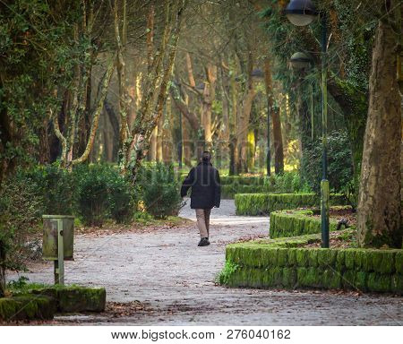 Rear View Of A Middle-aged Man Wandering Around A Trail At A Green Forest Park. Black Coat.