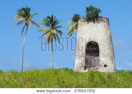 Old Mill Of Capesterre, Marie Galante, With Surrounding Palms