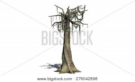 Kapok Tree In Winter With Shadow - Isolated On White Background - 3d Illustration