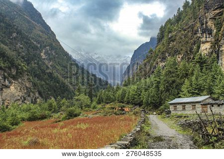 Trek In The Annapurna Sanctuary Near Chame, Nepal