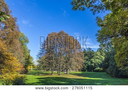 Trees In Autumn Colors At The Grueneburg Park In Frankfurt