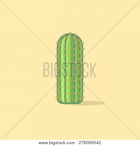 Simple Color Illustration Of Lonely Cactus In Vector