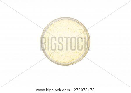 Semolina In Bowl, Isolated, Close Up, Macro, Top View. Popular Flour In Cooking. Used For Making Of 