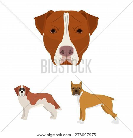 Vector Design Of  Cute  And  Logo. Set Of  Cute  And  Stock Symbol For Web.