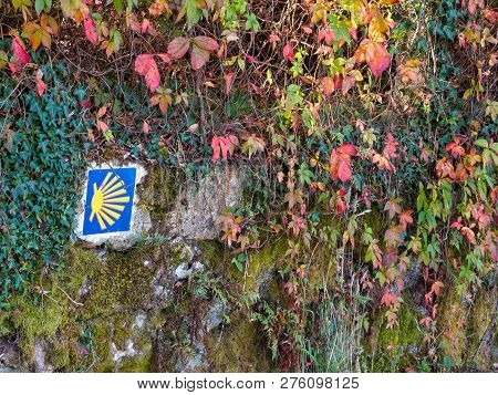 Camino Waymark And Colorful Autumn Leaves On A Stone Wall - Trasmonte, Galicias, Spain
