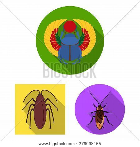 Vector Illustration Of Insect And Beetle Sign. Set Of Insect And Halloween Vector Icon For Stock.