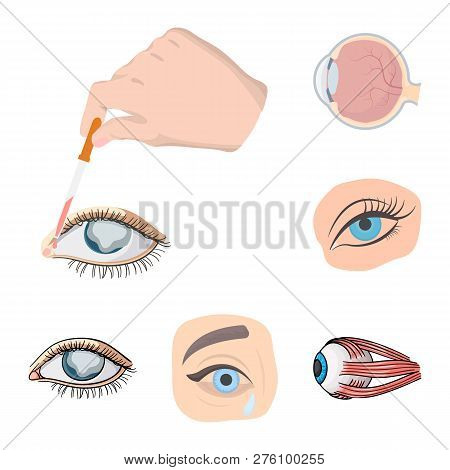 Vector Illustration Of Medical And Eyeball Icon. Set Of Medical And Optical Vector Icon For Stock.