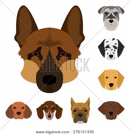 Vector Illustration Of Cute And Puppy Symbol. Set Of Cute And Animal Stock Vector Illustration.