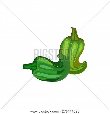 Green Pepper Illustration. Vegetable, Ground, Growth, Food. Farming Concept. Vector Illustration Can
