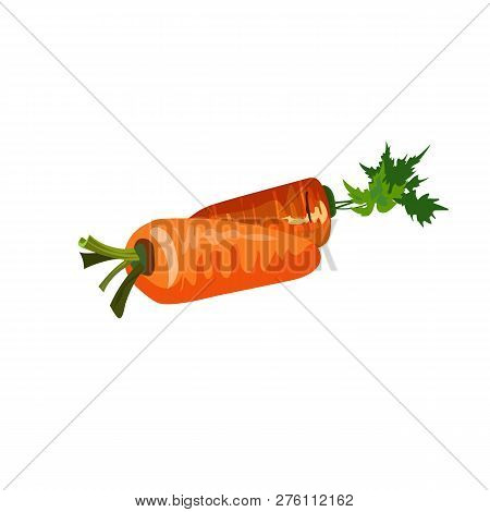 Two Carrots Illustration. Plate, Vegetables, Food. Farming Concept. Vector Illustration Can Be Used 