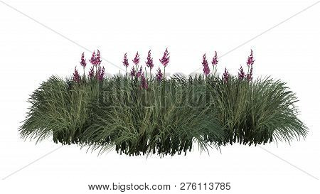 Red Yucca Cluster With Shadow - Isolated On White Background - 3d Illustration