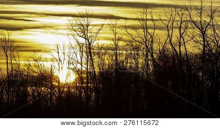 As This Sunset Shone Through The Trees It Truly Looked Amazing