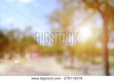 Blurred Park, Natural Background And Sunset Photo