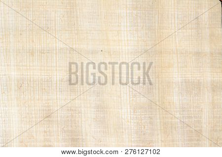 Real Old Payrus Paper Background And Texture Number 3. Close Up Macro.