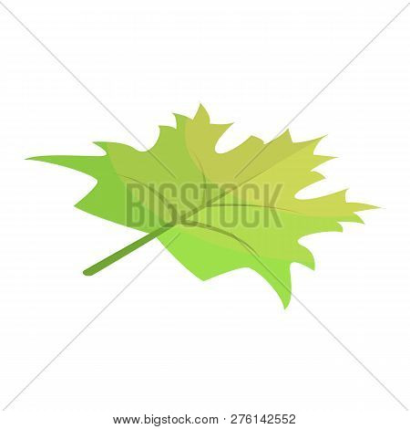 Green Maple Leaf Icon. Isometric Of Green Maple Leaf Icon For Web Design Isolated On White Backgroun