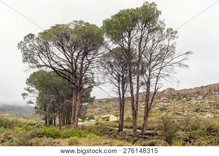 Cederberg, South Africa, August 27, 2018: The Kliphuis Campsite On The Pakhuis Pass In The Cederberg