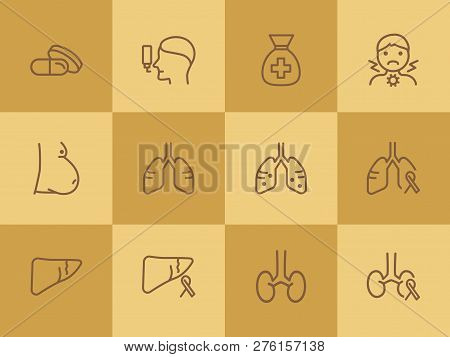 Organ Line Icon Set. Set Of Line Icons On White Background. Healthcare Concept. Stomach, Gemma, Live