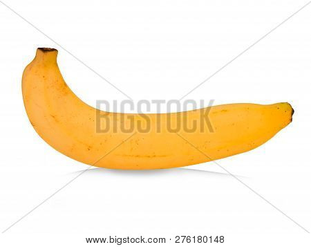 Cavendish Bananas Isolated On White Background. (this Has Clipping Path)