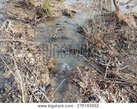 Water Flowing Into Sticks And Branches With Mud