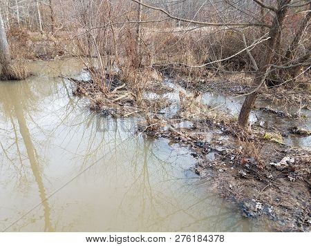 Water Flowing Into Sticks And Branches With Mud From Natural Dam