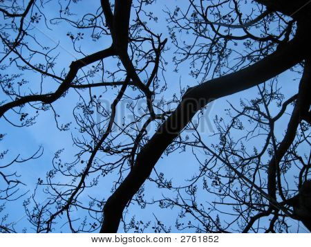 Blå himmel