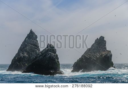 The Shag Rocks Are Six Small, Uninhabited, Islands On The Most Western Part Of South Georgia. They A