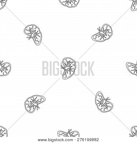Cut Spleen Icon. Outline Illustration Of Cut Spleen Icon For Web Design Isolated On White Background