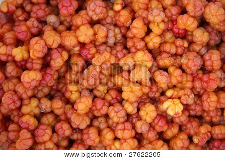 Čerstvé moruška pozadí closeup