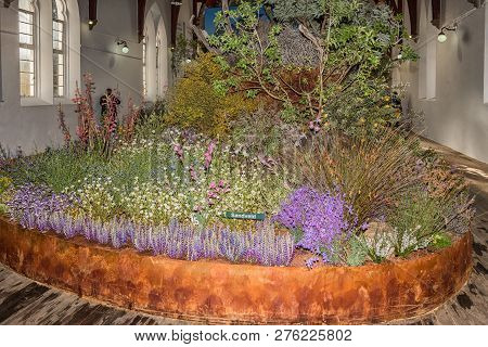 Clanwilliam, South Africa, August 28, 2018: The Yearly Wild Flower Show Inside The Historic First Du